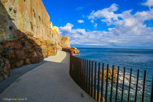 Appartement Climatise,Idealement Situe 100M Du Vieux Port. Bastia  Eksteriør billede